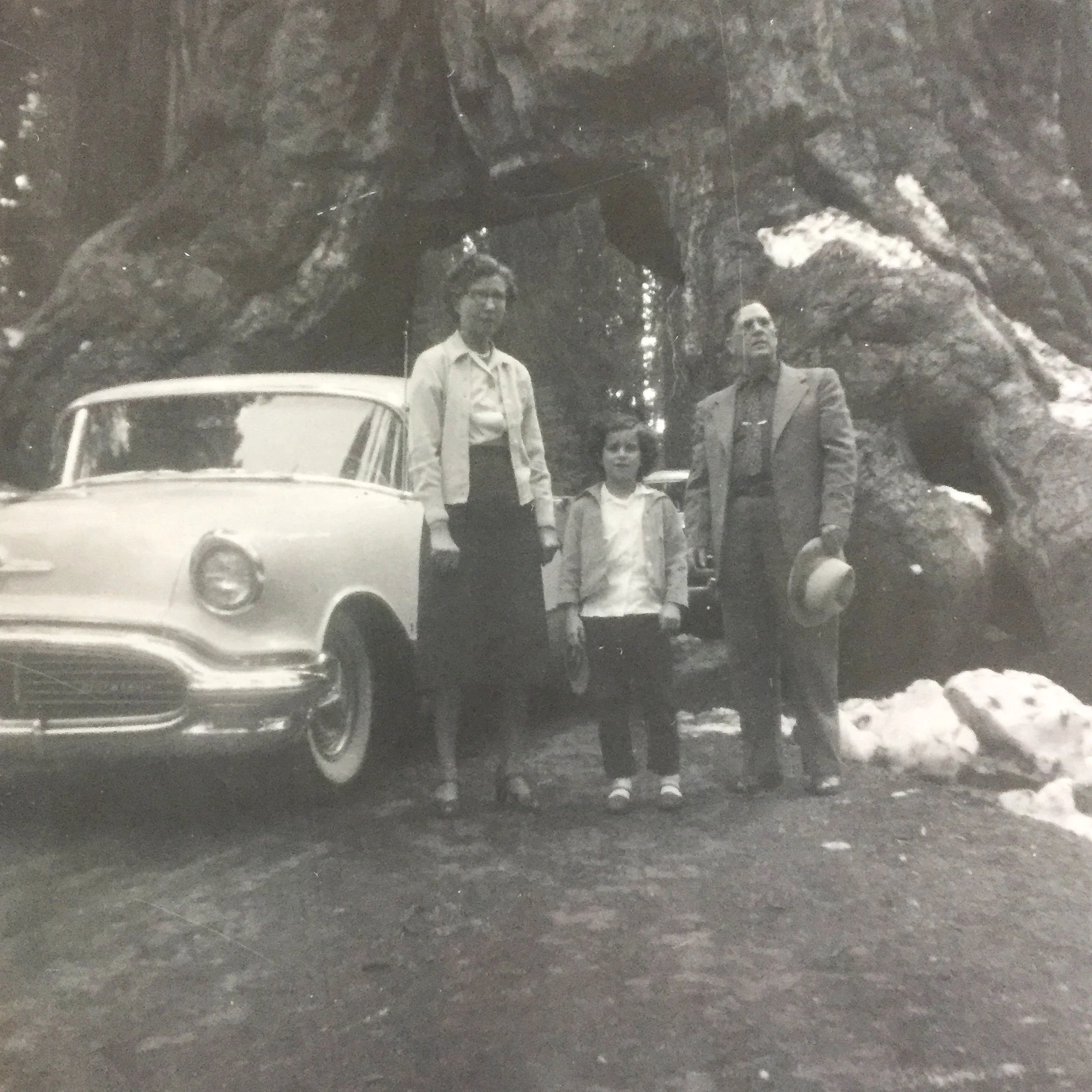 Family posing next to a vintage car and a giant redwood tree.
